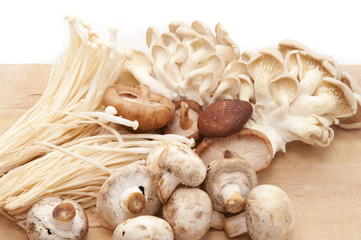 Assorted fresh edible mushrooms