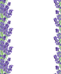 The background for the text label of the packaging the card with lavender flowers.
