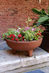 Ceramic pot with flowers