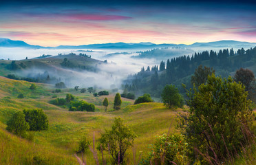Fototapeta na wymiar Colorful morning scene in the mountains.