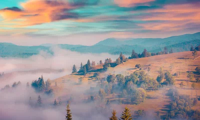  Sunny summer morning in the foggy mountain village © Andrew Mayovskyy