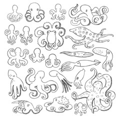 Hand drawn octopus set