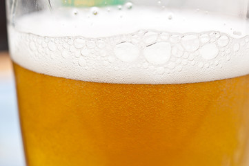 frisches Bier im Glas