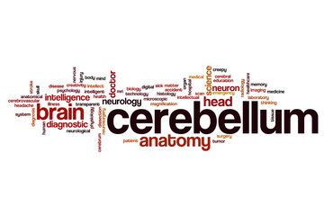 Cerebellum word cloud