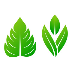 Leaf icon vector illustration.