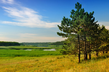 Fototapeta na wymiar Landscape with a pine forest and lakes