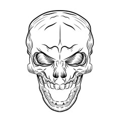 Skull Hand Drawn, Vector Illustration