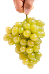 bunch of green grapes in a hand isolated on white background