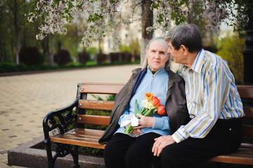 Fototapeta premium beautiful happy old people sitting in the spring park