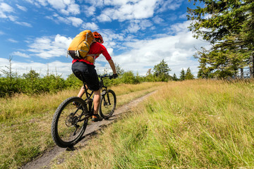 Fototapeta na wymiar Mountain biker cycling riding in woods and mountains