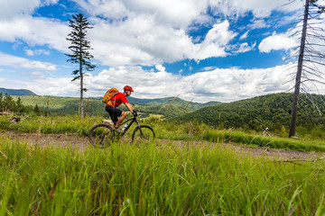 Naklejka premium Mountain biker cycling riding in woods and mountains