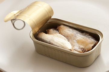 Open can of sardines