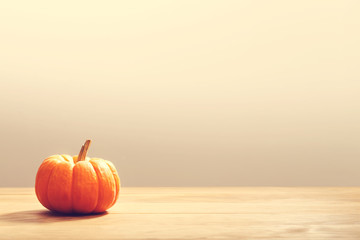 Autumn orange small pumpkin