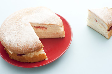 Freshly baked simple sponge cake