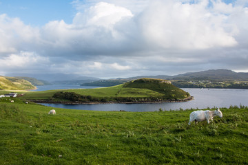 Fototapeta na wymiar Küstenlandschaft und Schafe, Isle of Skye, Schottland