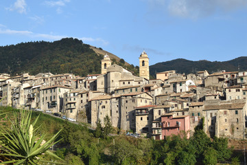 Fototapeta na wymiar View of Piglio wine country - Lazio - Italy