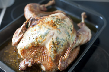 Thanksgiving roast turkey