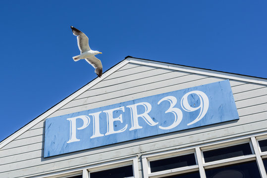 Pier 39 San Francisco, California