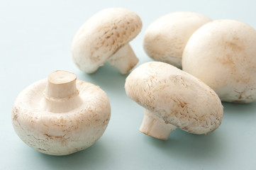 Fresh raw white button mushrooms