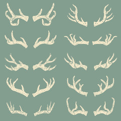 Set of hand drawn deer horns. Design elements for logo, label, e