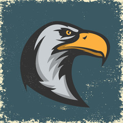 Eagle head illustration on grunge background. Design element for