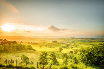 Belle vue sur le paysage toscan dans la région du Val d& 39 Orcia près de la ville de Pienza le matin en Italie. Photo grand angle avec espace de copie