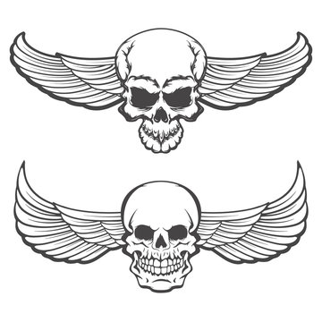 skulls with wings. Design element for poster, t-shirt print.