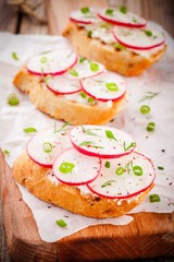 Fototapeta na wymiar toasts with cream cheese, organic radish, onion and dill