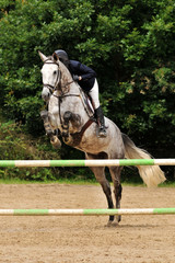 saut d'obstacle en &eacute;quitation