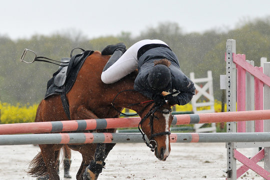 saut d'obstacle en &eacute;quitation
