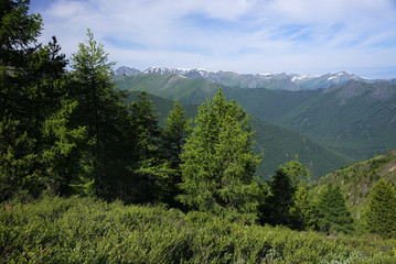 Fototapeta na wymiar Altai Mountains Natural Park - UNESCO Natural Monument, Siberia, Russian Federation