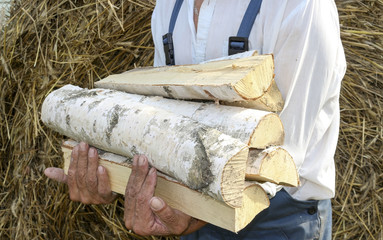 An elderly man holding a large chopping wood. Birch firewood in his hands. Harvesting for the winter, firewood for the winter.