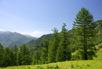 Obraz premium Alpine landscape in Altai Mountains, Siberia, Russian Federation