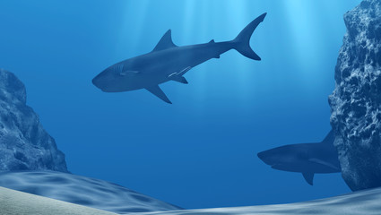 Flock of sharks underwater with sun rays and stones in deep blue sea