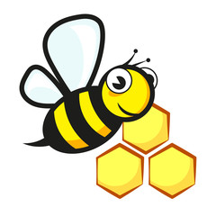 Bee and honeycombs