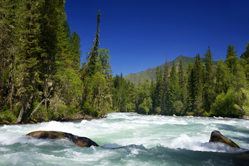 Fototapeta premium Alpine landscape in Altai Mountains, Siberia, Russian Federation