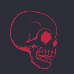 skull, side view, red on dark