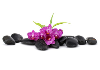 Obraz na płótnie Canvas Zen pebbles and orchid flower. Stone spa and healthcare concept.