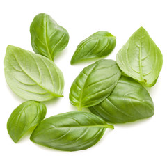 Sweet basil herb leaves handful isolated on white background clo
