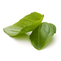 Sweet basil herb leaves isolated on white background closeup