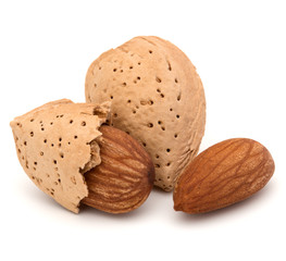 Almond nut in shell and shelled isolated on white background clo
