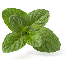 Fresh mint herb leaves isolated on white background cutout