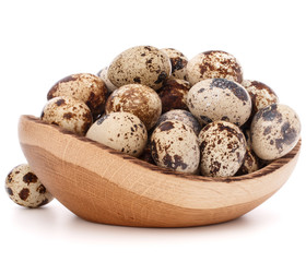 quail eggs in wooden bowl isolated on white background cutout