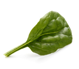 Baby spinach leaves isolated on white background cutout