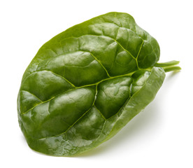 Fototapeta premium Baby spinach leaves isolated on white background cutout