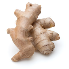 Fresh ginger root or rhizome isolated on white background cutout
