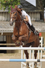 saut d'obstacle en &eacute;quitation