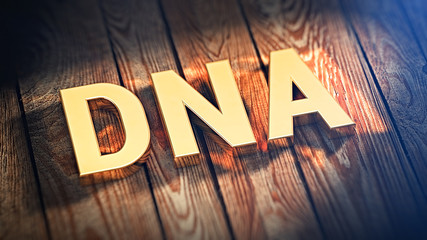 Acronym DNA on wood planks