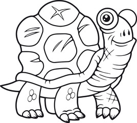 turtle
