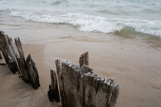 Fence on beach